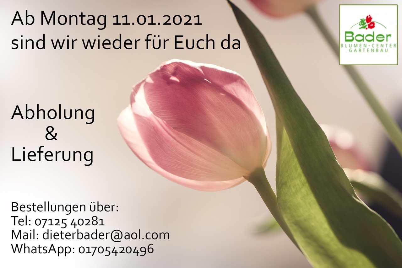 Blumencenter Bader GmbH