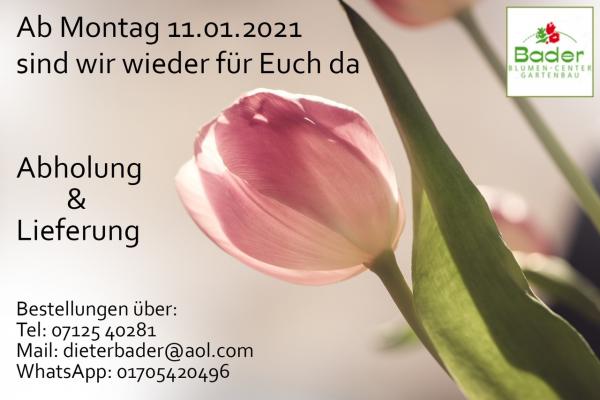 Blumencenter Bader GmbH